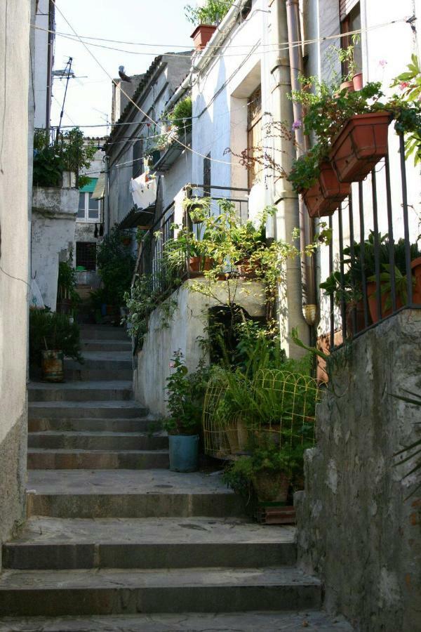 Casa Vacanze " Mela " Nova Siri Exterior foto