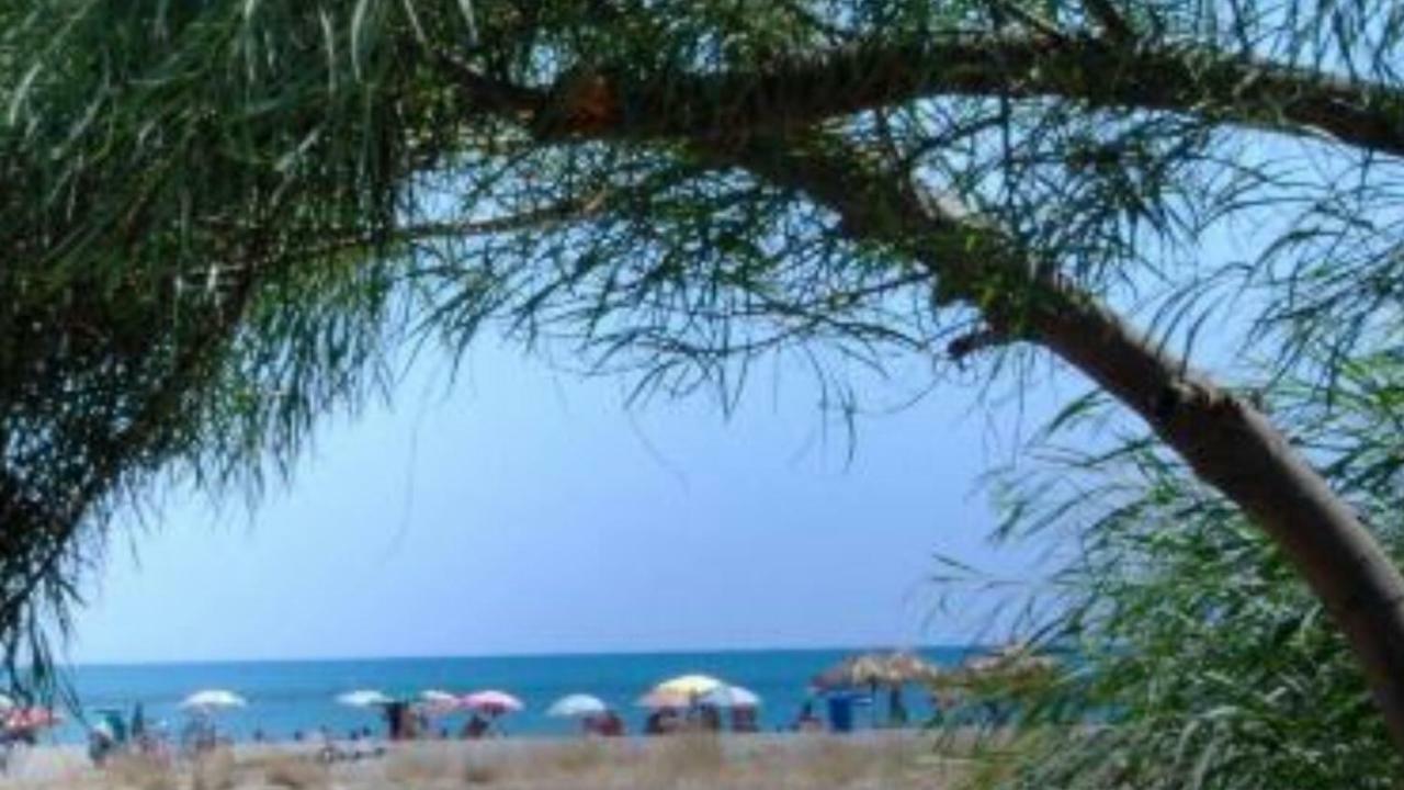 Casa Vacanze " Mela " Nova Siri Exterior foto